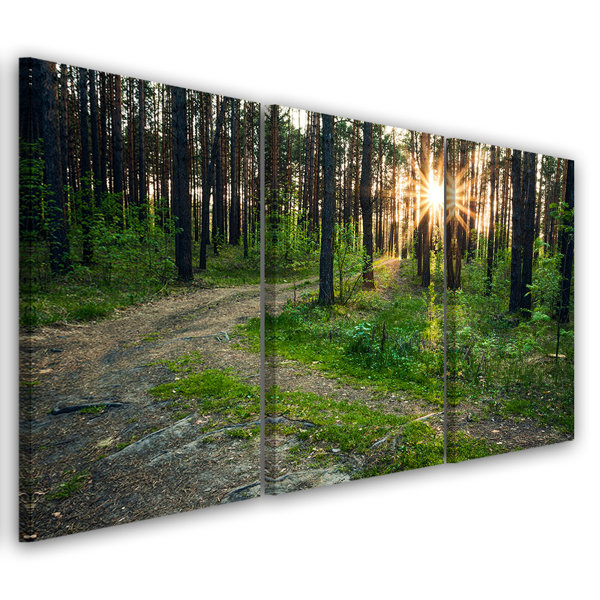 Union Rustic Leinwandbild Waldnatur Stra En Landschaft Wayfair De